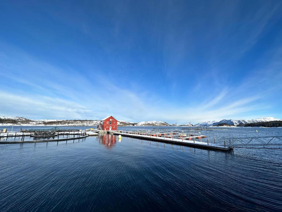 Norsk Havbrukssenter - Rorbuer Hotel Bronnoysund Exterior foto
