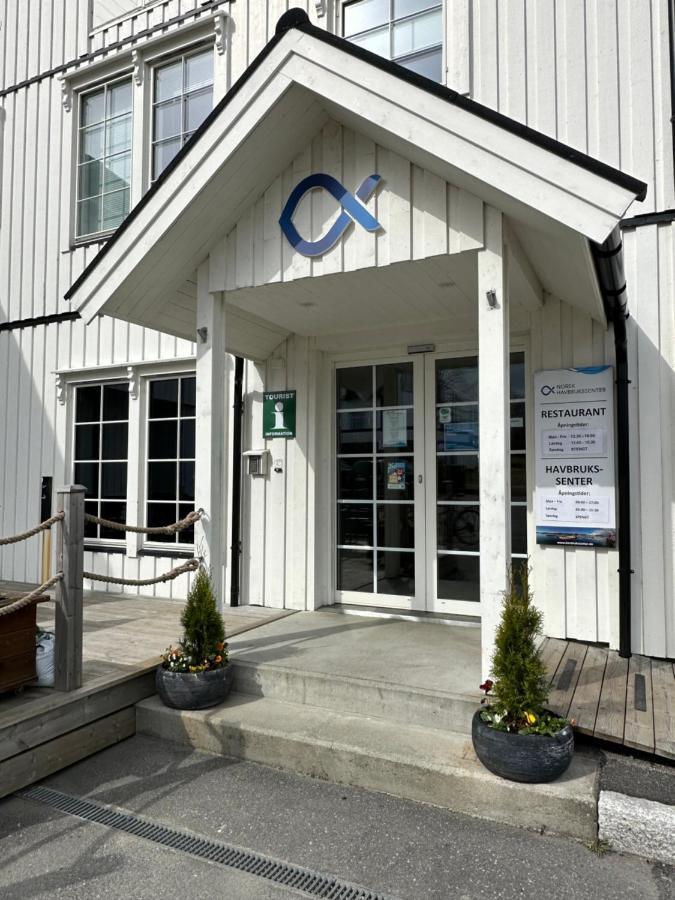 Norsk Havbrukssenter - Rorbuer Hotel Bronnoysund Exterior foto