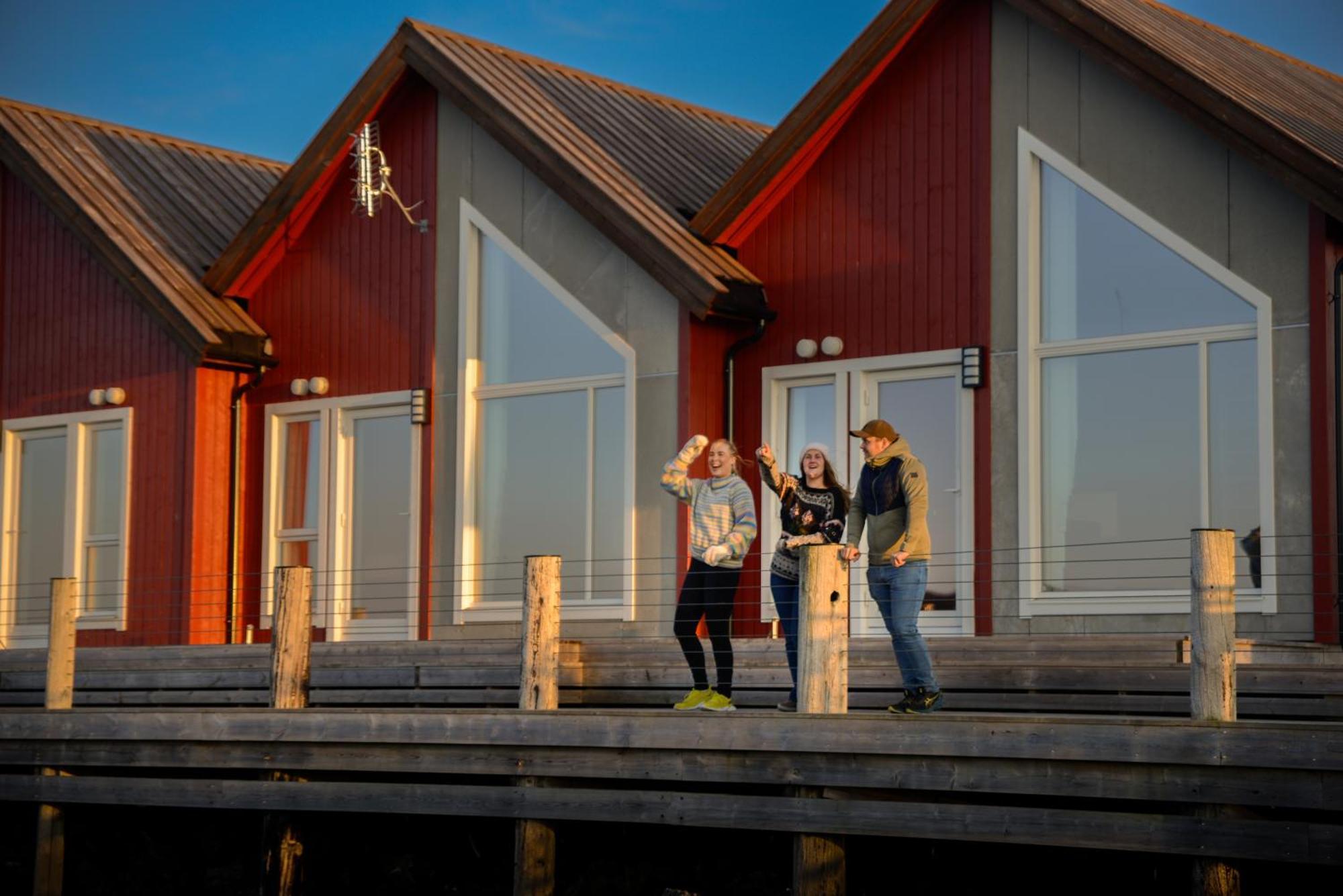 Norsk Havbrukssenter - Rorbuer Hotel Bronnoysund Exterior foto